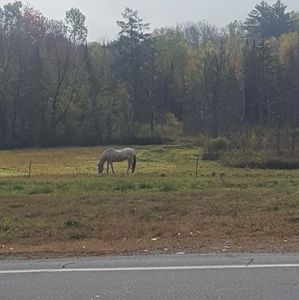 Meet your Posher, Nad